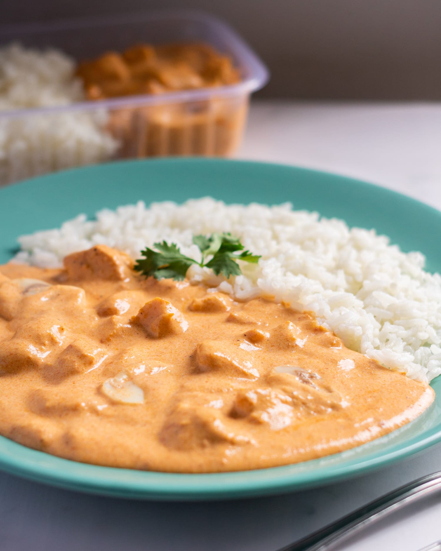 Estrogonofe Light de Frango com Arroz Branco